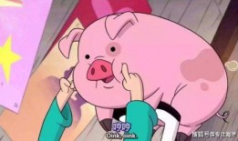 飞猪少女爆料视频大全,精彩瞬间大盘点