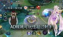 王者爆料曝光视频大全集,视频大全集深度解析