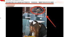 辣眼视频爆料大全,揭秘热门视频爆料大全
