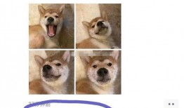 娜美抖音最新爆料,揭秘娱乐圈幕后真相