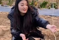 农村妮娃邻居爆料视频,揭秘乡村生活点滴