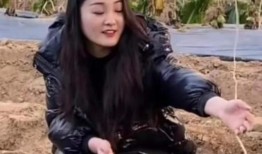 农村妮娃邻居爆料视频,揭秘乡村生活点滴