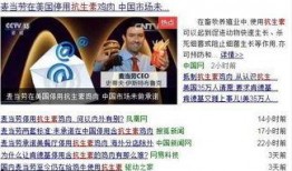 麦当劳爆料搞笑视频在线观看,笑料百出，欢乐无限