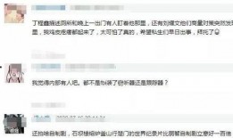柬埔寨高管爆料视频曝光,揭秘企业内幕与行业乱象