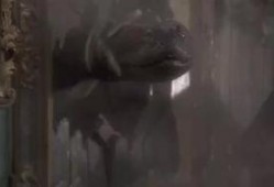 狂蟒之灾雅酷在线观看,雅酷平台独家呈现！