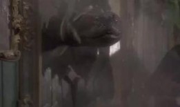 狂蟒之灾雅酷在线观看,雅酷平台独家呈现！