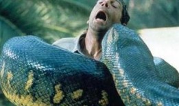 狂蟒之灾雅酷在线观看,雅酷平台独家呈现！