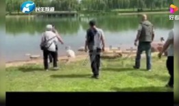 爆料郑州楼盘事件最新消息