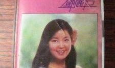 爱情更美丽在线观看,浪漫邂逅，甜蜜绽放的都市爱情故事