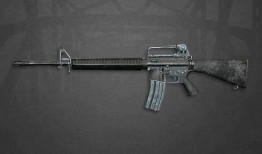 小学生步枪爆料视频播放