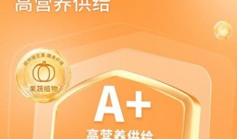 网易三拼猫粮爆料视频,品质猫粮背后的创新与匠心