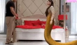 蛇王子在线观看