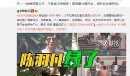洪小龙徒弟爆料了吗视频,揭秘幕后真相