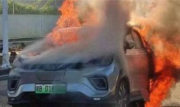 爆料海豚自燃事件视频在线观看,惊悚视频在线揭秘