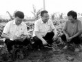 杞县当地人爆料案件最新,当地人爆料案件最新进展，真相即将揭晓！