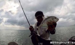 网友爆料钓鱼事件视频,险象环生，揭秘真实水域危机