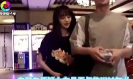 关于郑爽的爆料视频,娱乐圈背后的惊人真相