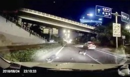 湛江最快爆料事件视频,事件视频全网热议，真相即将揭晓！