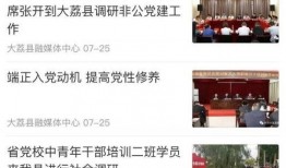 大荔最新爆料新闻视频,揭秘视频背后的惊人真相