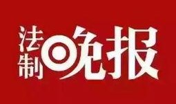 顶呱呱最新爆料新闻,最新爆料新闻背后的惊人真相