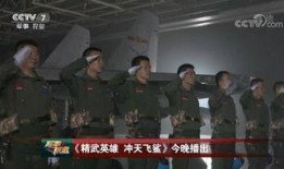 中国飞行员爆料视频大全,中国飞行员爆料视频大全背后的真实故事