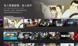 看大片视频在线观看,看大片视频在线观看，尽享电影魅力