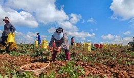 乡6全集在线观看土豆,重温乡村情怀，感受岁月流转