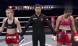 mulan在线观看,勇敢的传承，在线观影之旅
