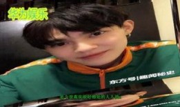 大勇爆料视频大全,揭秘幕后真相，带你走进事件核心