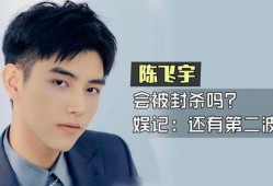 陈飞宇八卦爆料最近新闻,揭秘明星背后的故事与争议