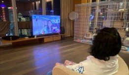 华姿酒店爆料视频播放大全,揭秘酒店幕后真相