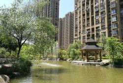 弘瑞清水湾爆料了吗最新消息,揭秘项目进展与市场动态