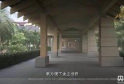 西安万科爆料事件视频,揭露背后的真相与争议