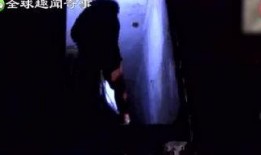 奇闻异事爆料视频,视频爆料背后的惊人真相