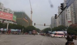 桂林论坛爆料最新消息,揭秘神秘事件真相！